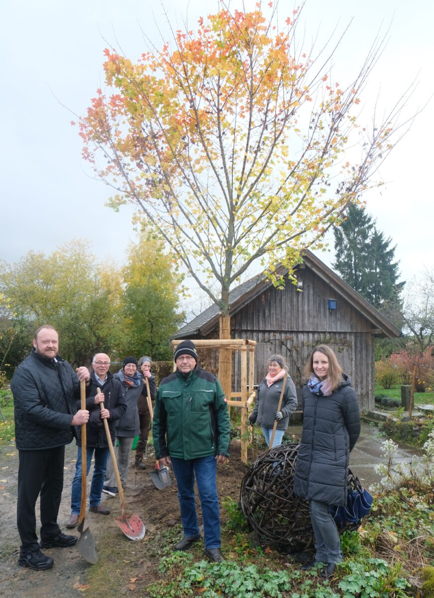 Landkreis spendet Klimabaum für Kreislehrgarten in Floß