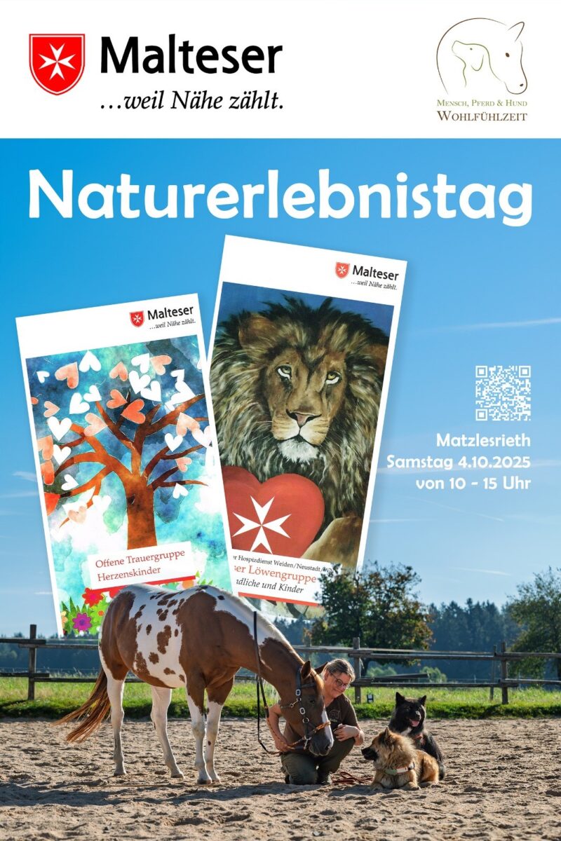 Naturerlebnistag stärkt Resilienz von Kindern in Neustadt