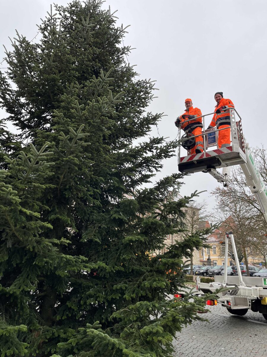 Vorweihnachtlicher Glanz im Landratsamt Amberg-Sulzbach