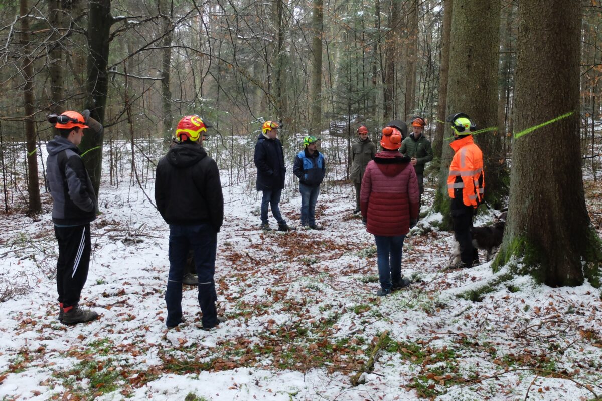 Waldwissen stärkt Waldbesitzer im Landkreis Regensburg