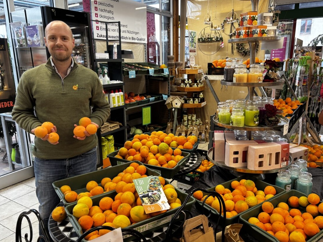 Sonnengrüße aus „Bella Italia“ – Frische, unbehandelte Orangen in der Gärtnerei Steinhilber in Neustadt/WN