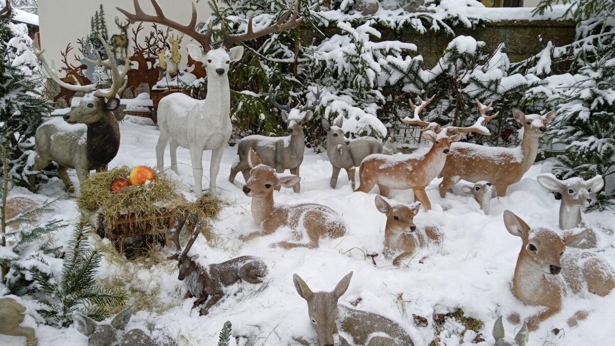 Majestätische Waldtiere im Schnee verzaubern Floß