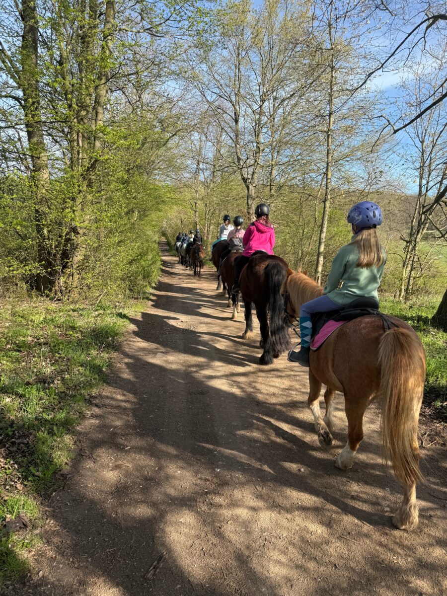 Noch Plätze frei bei Reiterinnenferien für Mädchen in Tirschenreuth