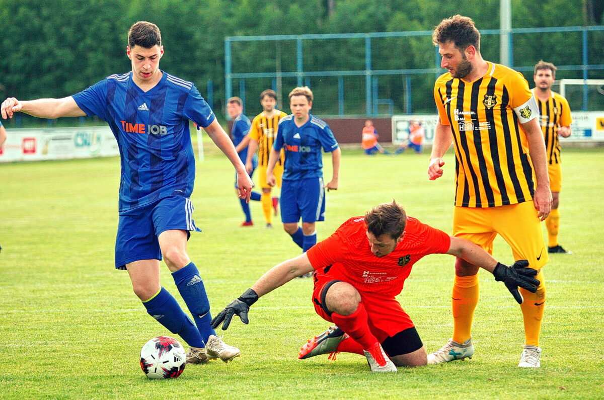 Test beim BSC Regensburg, Herrmann übernimmt beim SV Etzenricht