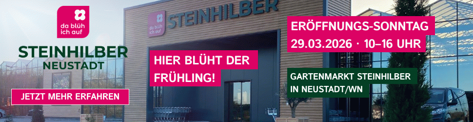 #1 beispiel ad TOP